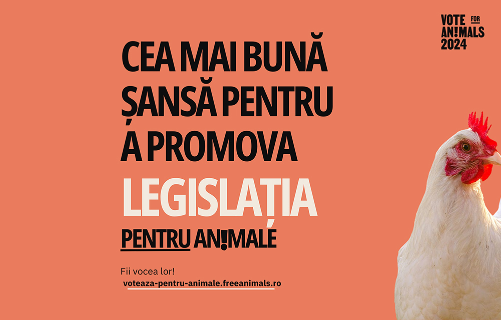 voteaza pentru animale