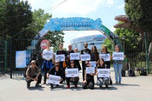 protest delfinariu constanta asociatia free