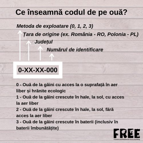 Semnificația codului de pe ouă Semnificația codului de pe ouă
