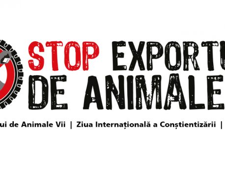 FAQ – Ziua Internațională pentru Interzicerea Exportului de Animale Vii