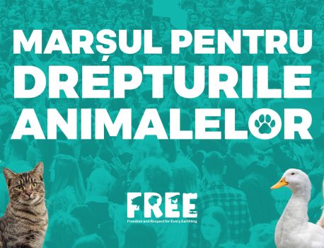 Marșul pentru Drepturile Animalelor 2023: Unison pentru încetarea amânării acțiunilor pentru drepturile animalelor, București, 23 septembrie 2023