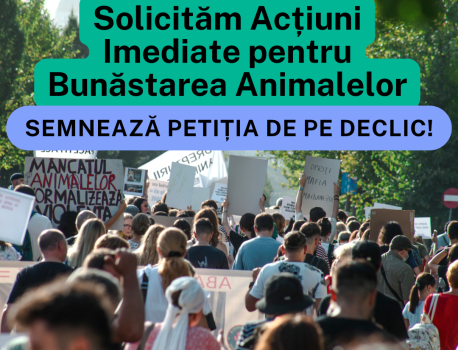 Un Viitor Mai Bun pentru Animale: Solicităm Acțiuni Imediate pentru Bunăstarea Lor